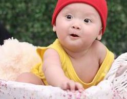 2026宜昌市三代试管助孕技术哪家强？成功率对比