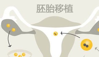 2026做三代试管需要花多少钱？来看看合肥私立机构